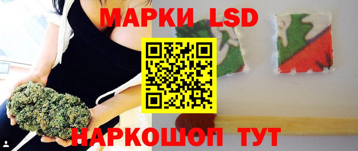 ЛСД экстази  Вход с VPN  Курчалой  Лсд 25 экстази ecstasy  Лсд 25 экстази ecstasy 
