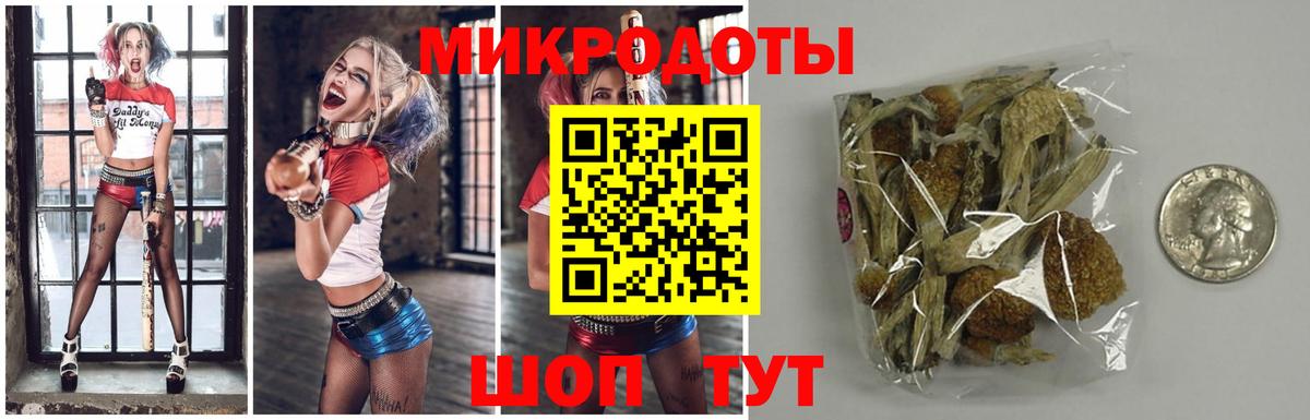 Курчалой  Псилоцибиновые грибы мицелий  Вход с VPN  Галлюциногенные грибы прущие грибы 